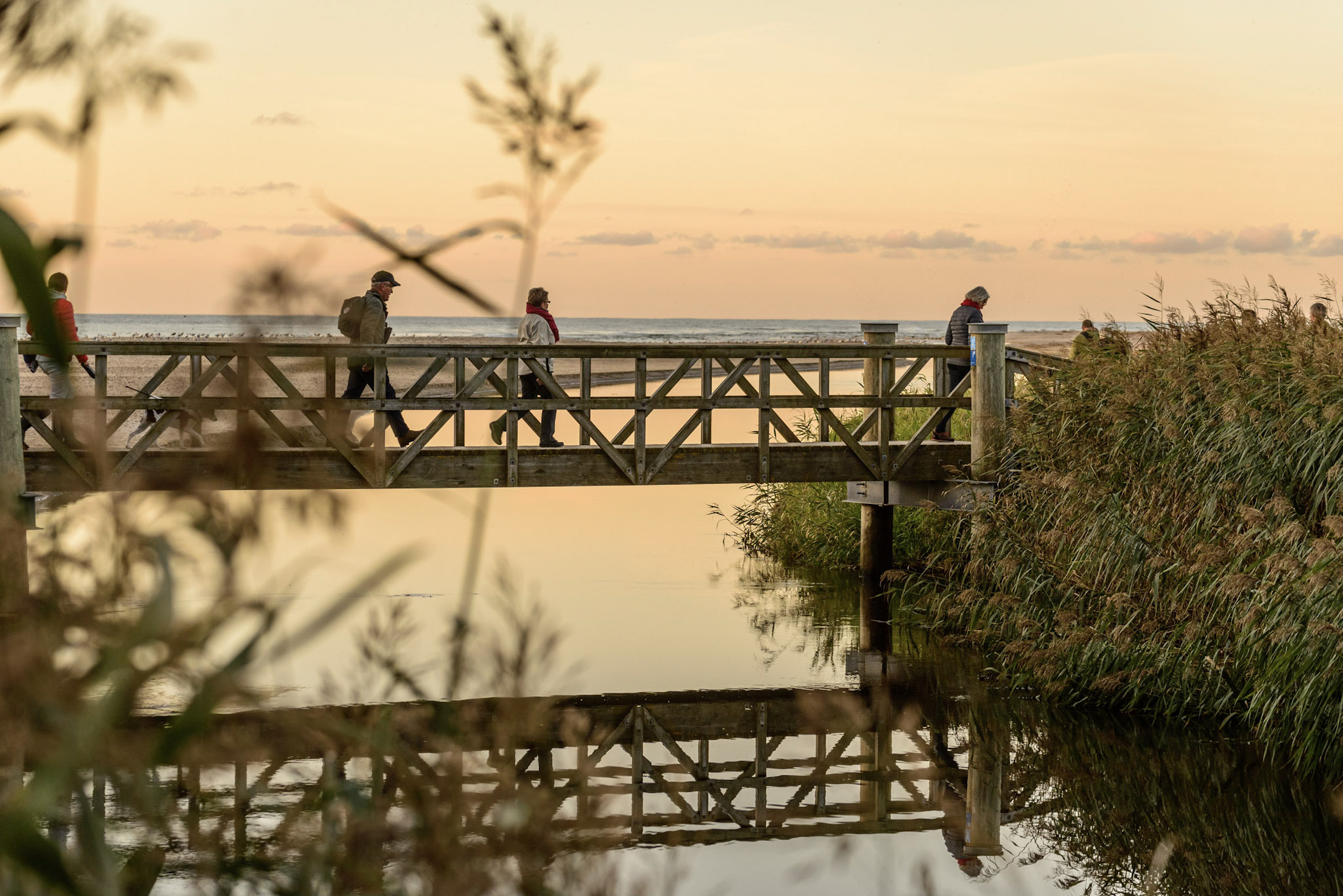 Det skal du opleve i Nordjylland