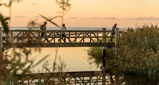 Det skal du opleve i Nordjylland
